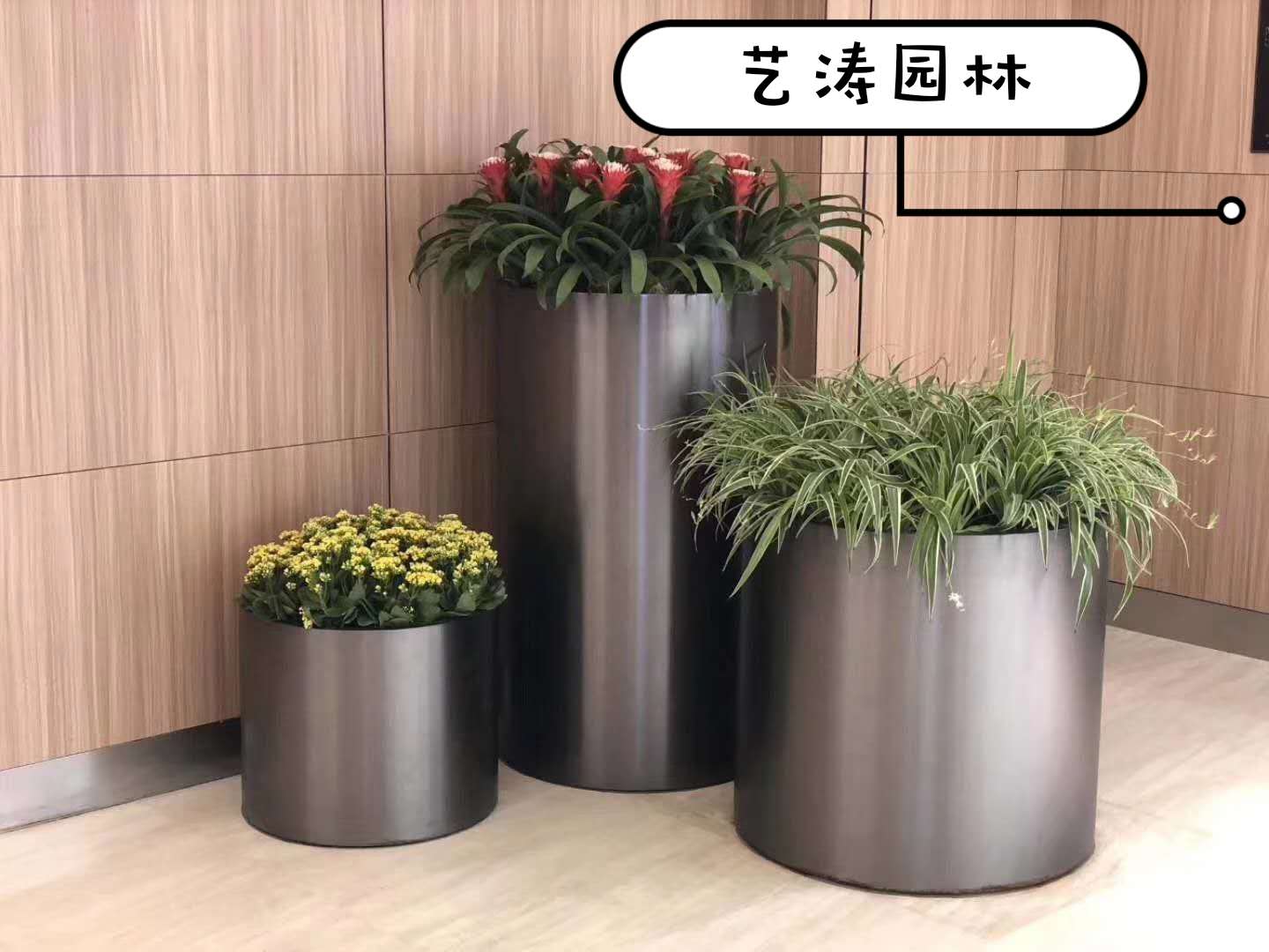 绿植租赁36.jpg